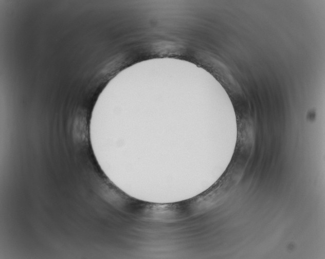 X0000116620622201001081233