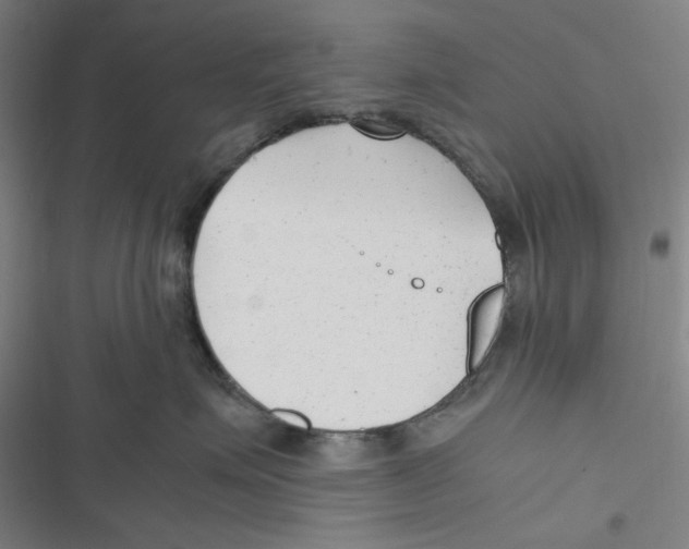 X0000116620623201001081233