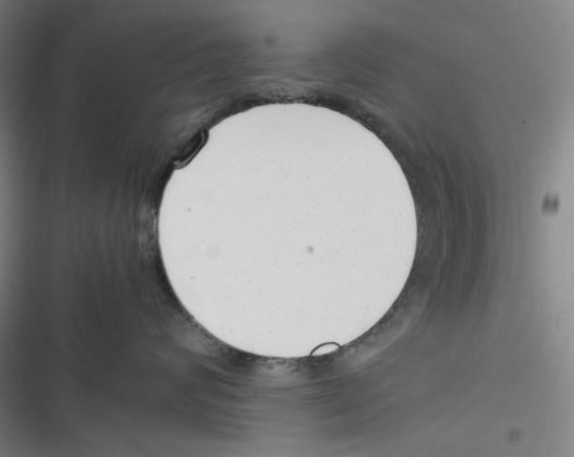 X0000116620624201001081233