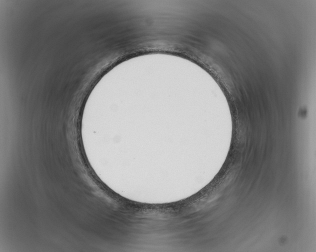 X0000116620625201001081232