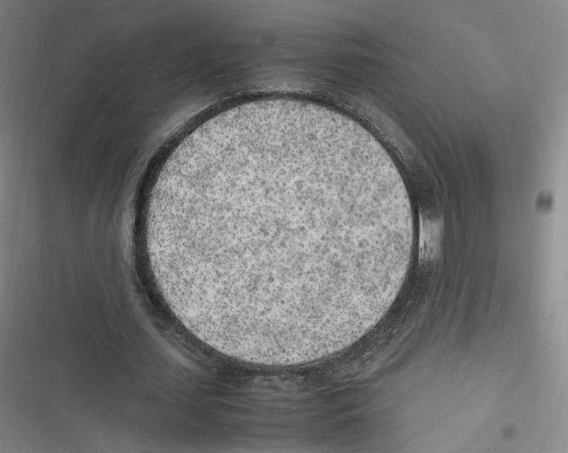 X0000116620627201001081232