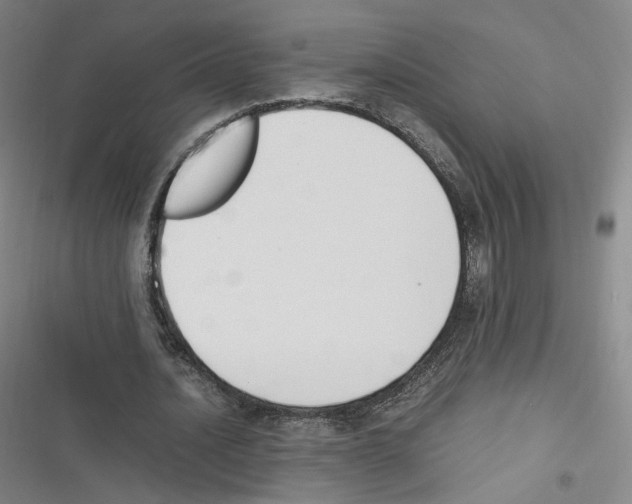 X0000116620628201001081232