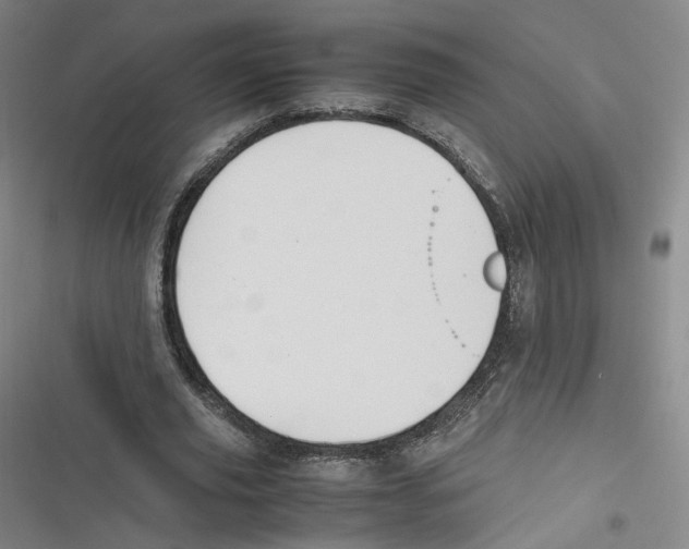 X0000116620629201001081232