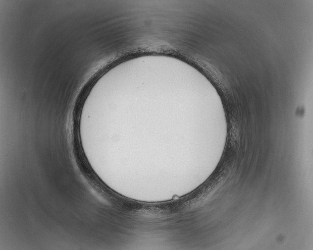 X0000116620630201001081232