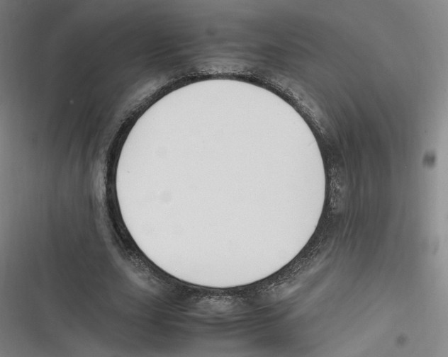 X0000116620631201001081232