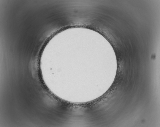 X0000116620632201001081232