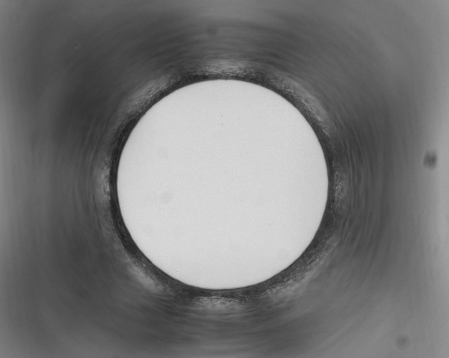 X0000116620633201001081232