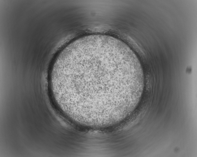 X0000116620634201001081232