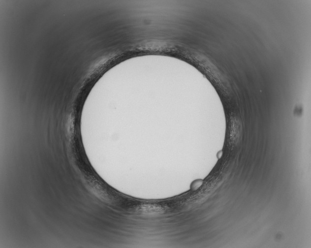 X0000116620636201001081232