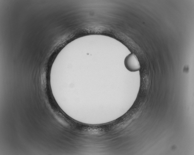 X0000116620638201001081232