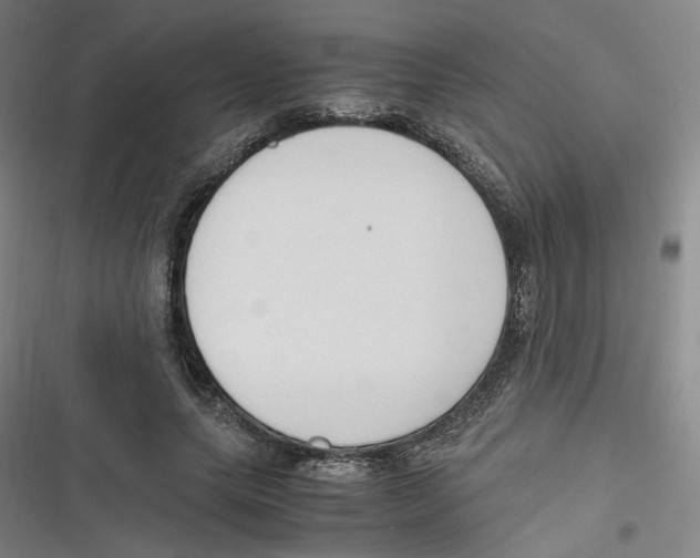 X0000116620639201001081232