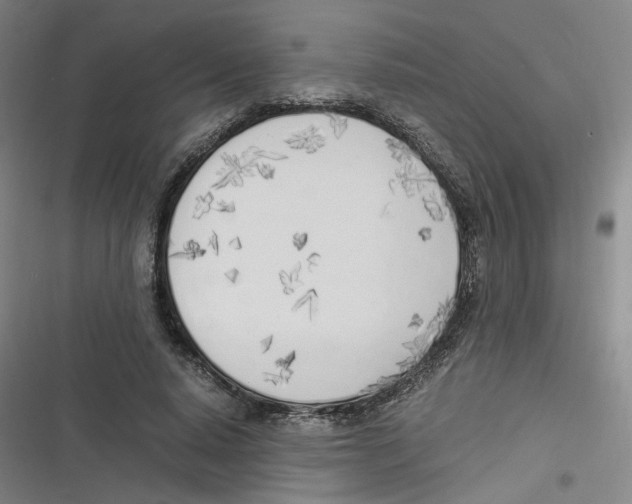 X0000116620640201001081232