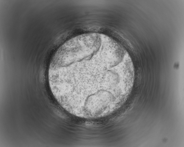 X0000116620641201001081232