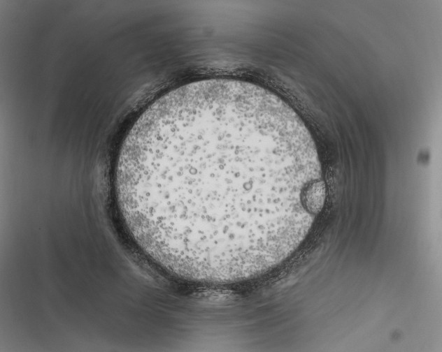 X0000116620642201001081232