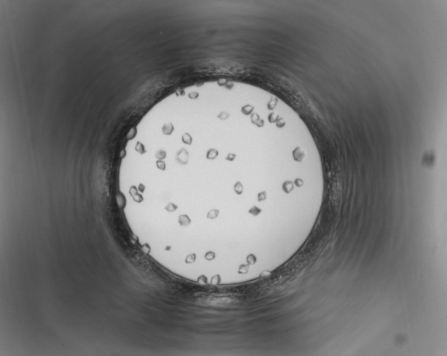 X0000116620643201001081232