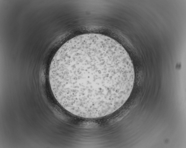 X0000116620644201001081232