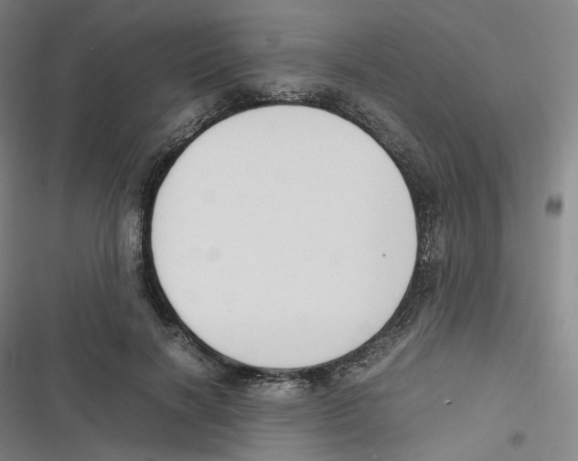 X0000116620646201001081232