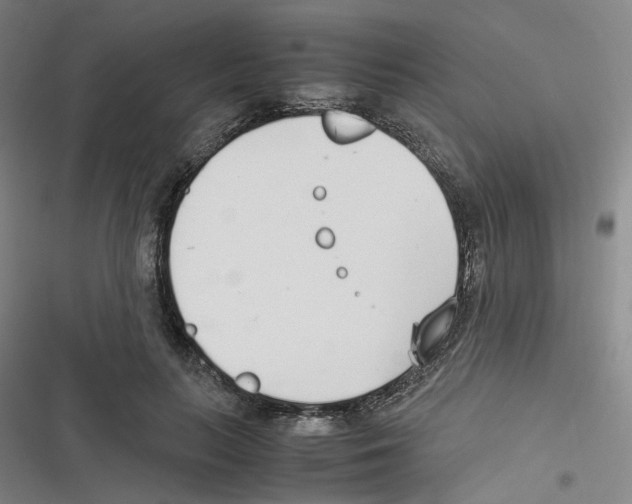 X0000116620647201001081232