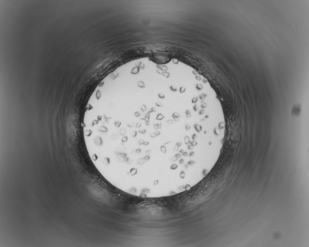 X0000116620648201001081232