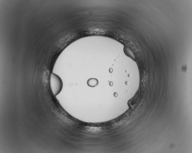 X0000116620649201001081232