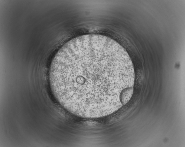 X0000116620650201001081232