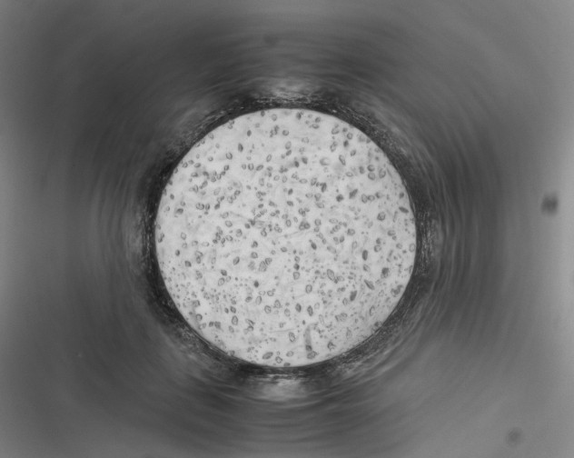 X0000116620651201001081232