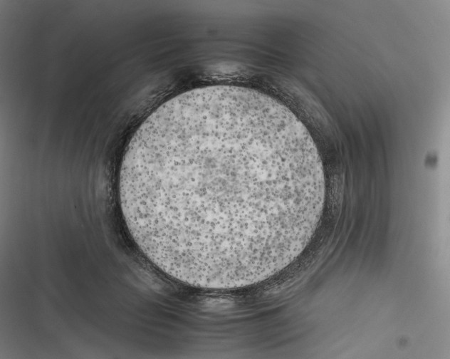 X0000116620653201001081232