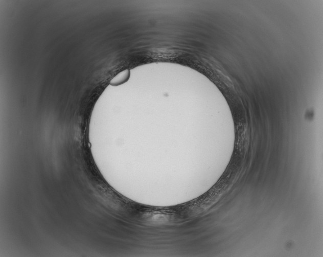 X0000116620655201001081233