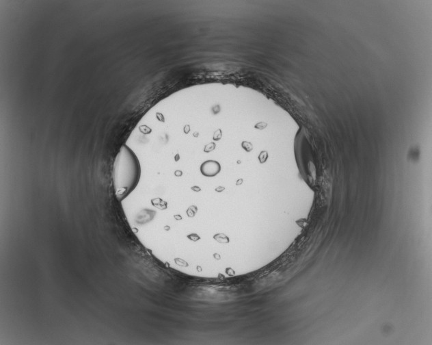 X0000116620657201001081233