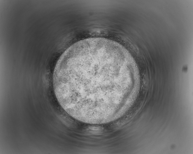 X0000116620659201001081233