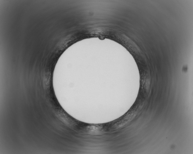 X0000116620660201001081233