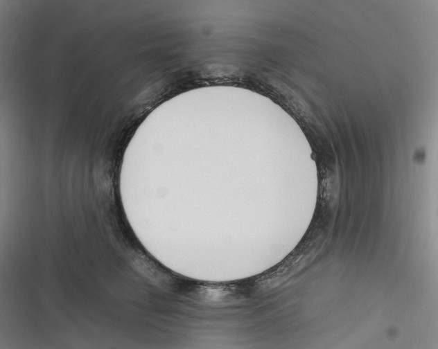 X0000116620662201001081233