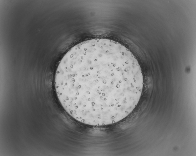 X0000116620664201001081233