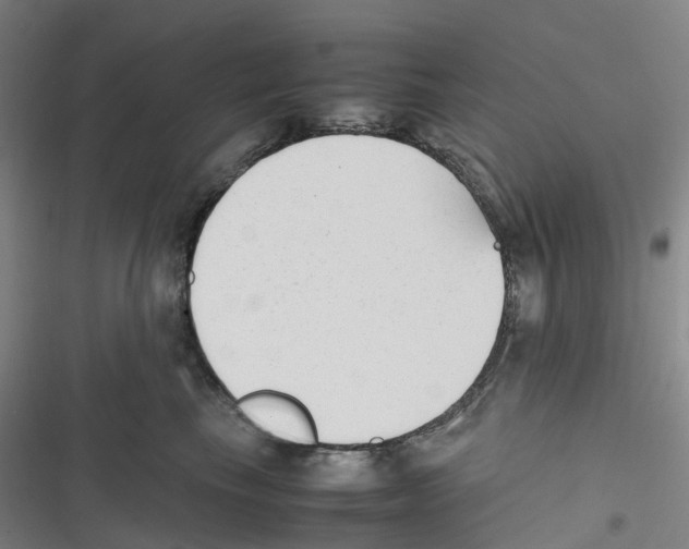 X0000116620665201001081233