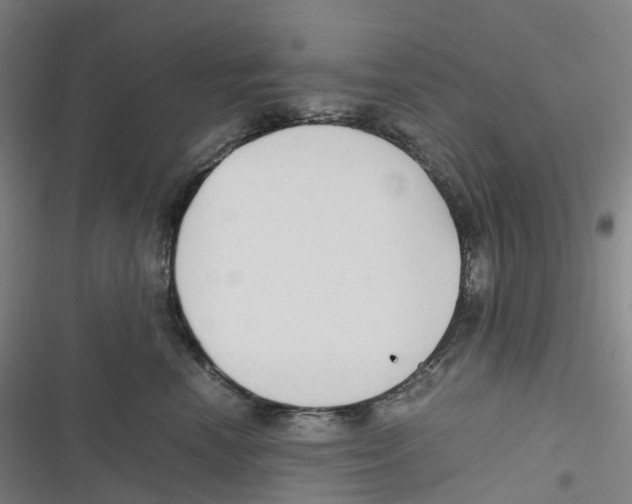 X0000116620666201001081233