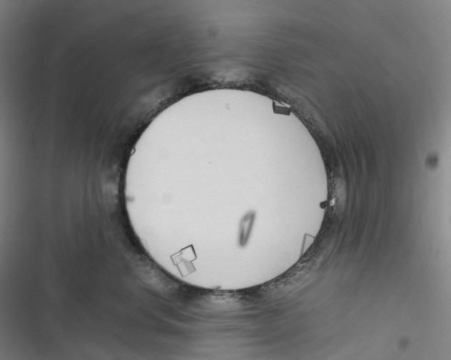 X0000116620668201001081233