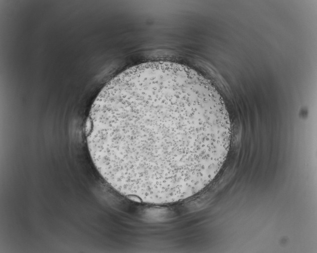 X0000116620669201001081233