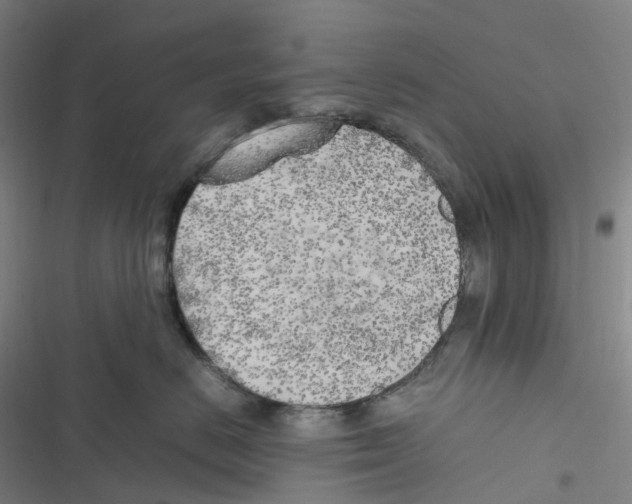 X0000116620670201001081233