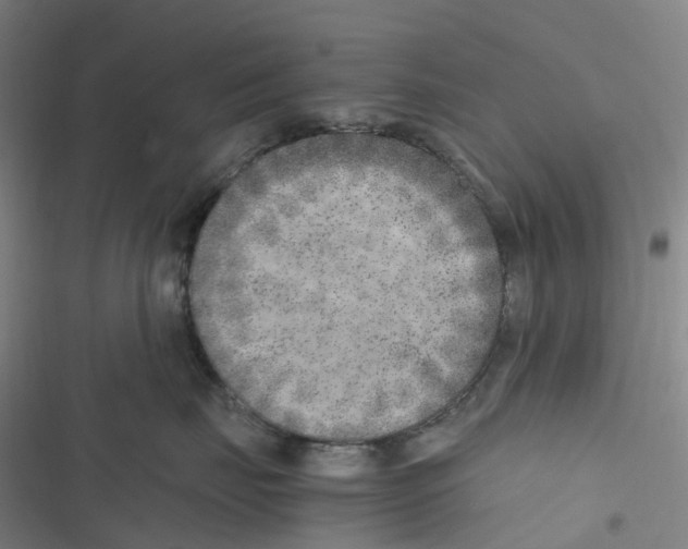 X0000116620671201001081233