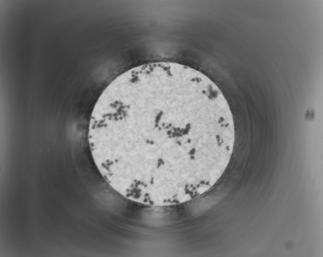 X0000116620672201001081233