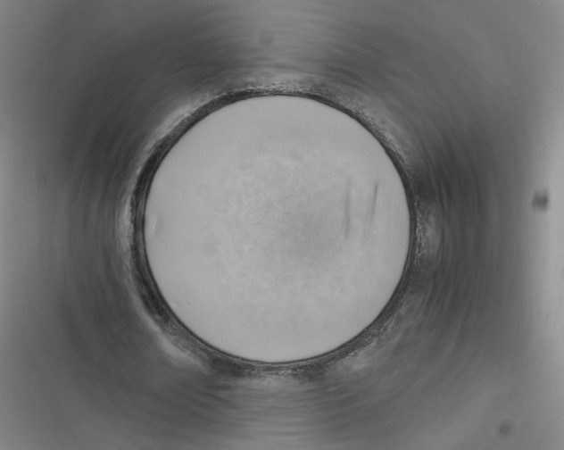 X0000116620674201001081232