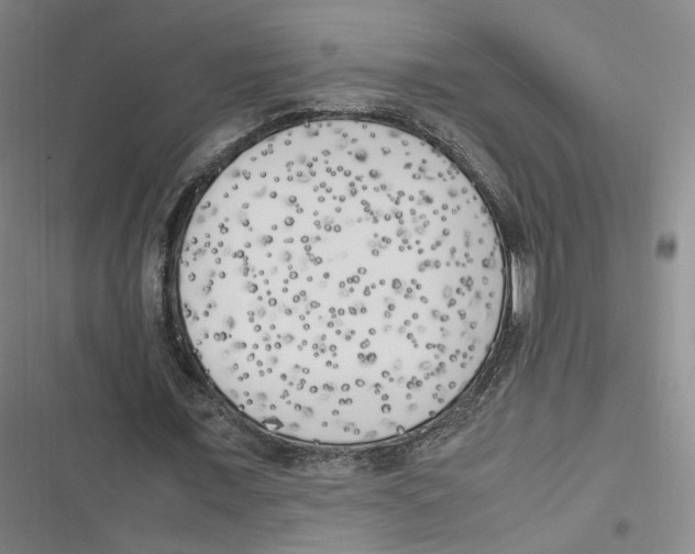 X0000116620675201001081232