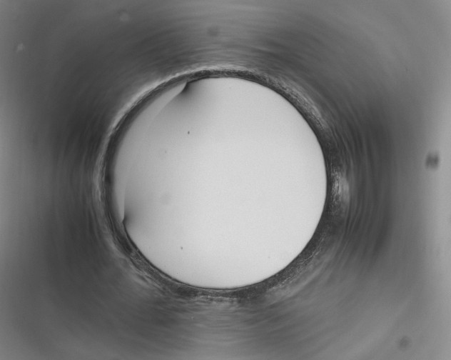 X0000116620676201001081232