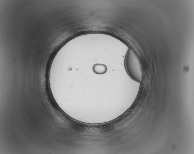 X0000116620677201001081232