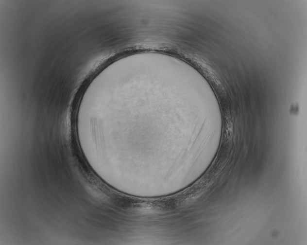 X0000116620678201001081232