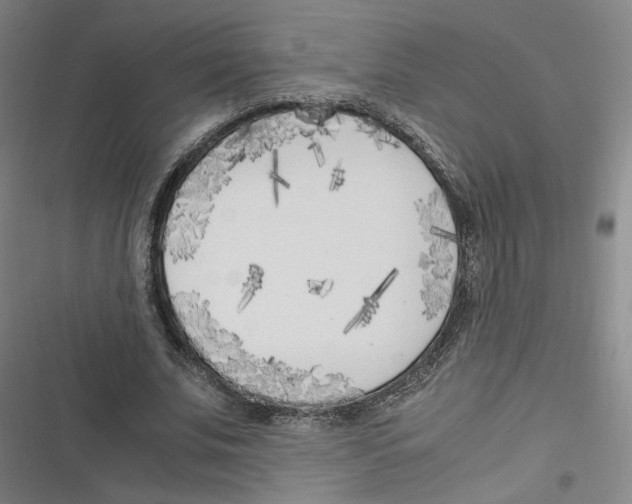 X0000116620679201001081232