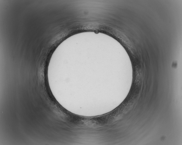 X0000116620681201001081232