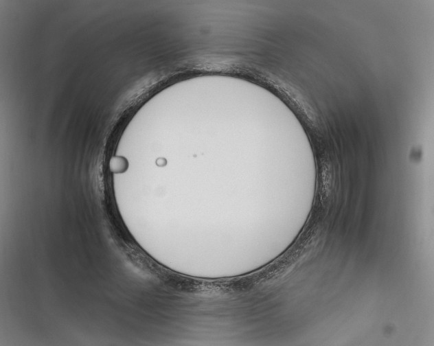 X0000116620682201001081232