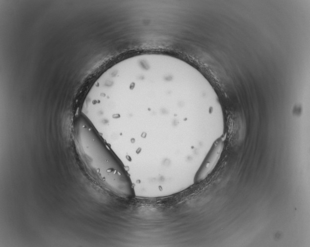 X0000116620684201001081232