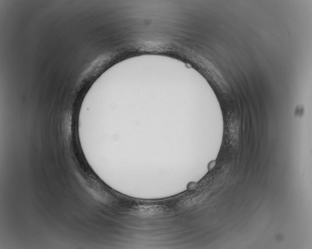 X0000116620686201001081232